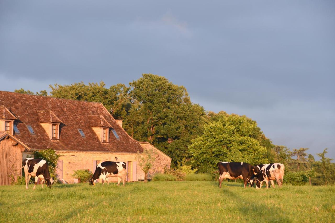 Chambre D'Hotes La Ferme De La Croix. Bed & Breakfast Saint-Avit-Senieur Exterior photo