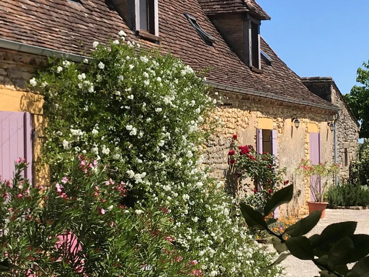 Chambre D'Hotes La Ferme De La Croix. Bed & Breakfast Saint-Avit-Senieur Exterior photo